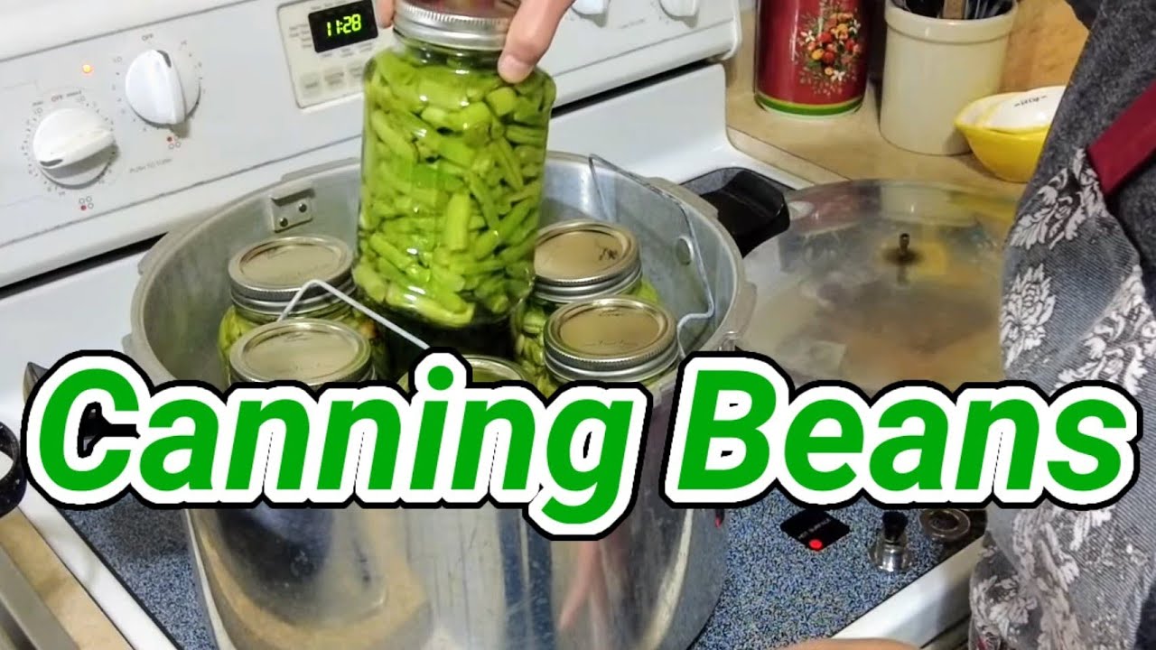 Canning Green Beans In A Pressure Canner YouTube canning-green-beans-in-a-pressure-canner-youtube