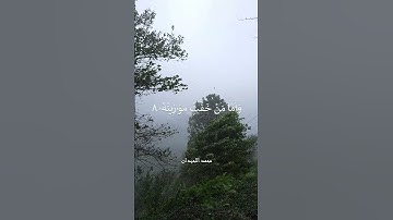 سورة القارعة بصوت الشيخ محمد اللحيدان