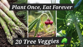 These 20 Vegetables Grow Like Fruit TREES | Plant Once, Eat Forever 