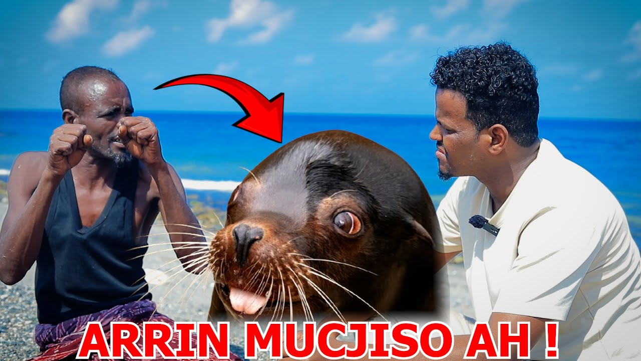 Nin 10 Sanno Ku Noolaa Badda Hoosteeda oo La Kulmay Mucjisooyin Yaab Leh. !!!