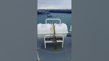 chia tay các em đã hoàn thành nghĩa vụ thiêng liêng với Tổ quốc năm 2024