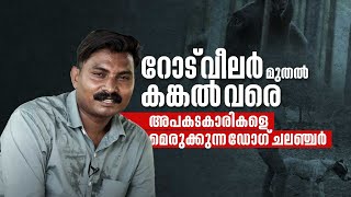 റോട് വീലർ മുതൽ കങ്കൽ വരെ, അപകടകാരികളെ മെരുക്കുന്ന ഡോഗ് ചലഞ്ചർ | Viral Star | Dog Show | Leash Talks