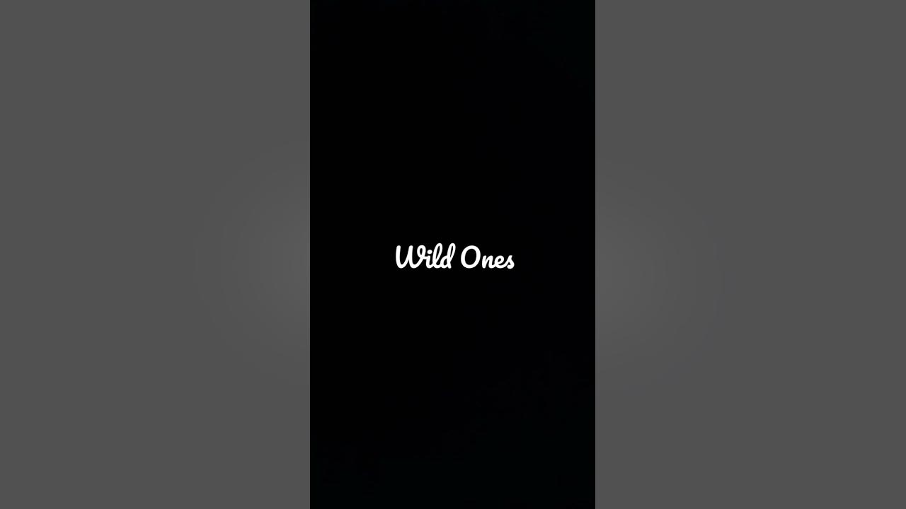 Wild Ones - Flo Rida , Sia