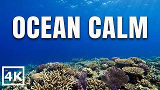 Indian Ocean Underwater Calm – Relaxing Coral Reef 4K screenshot 3