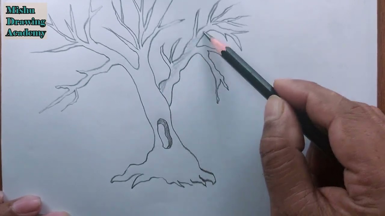 How TO Draw dead tree/dead tree drawing - YouTube