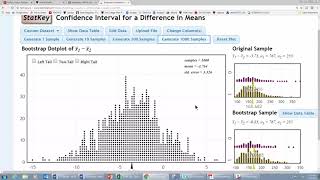 Confidence Interval Using Statkey