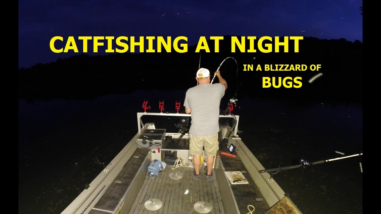 CATFISHING AT NIGHT DURING SPAWN YouTube
