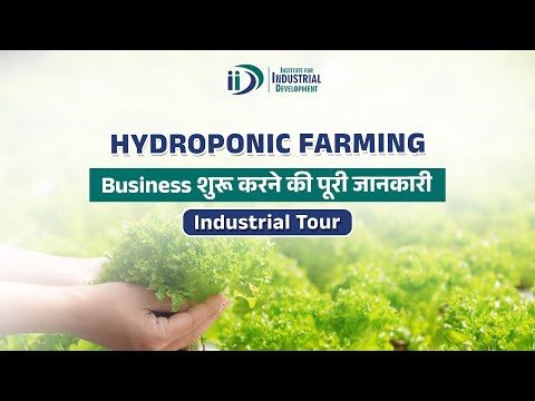 हाइड्रोपोनिक्स कृषि व्यवसाय का बिज़नेस कैसे शुरू करें || How to Start Hydroponics Farming Business