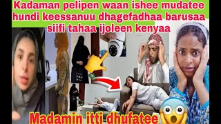 ๐๐ณWaan kadama pilepinii tanaa mudatee dhagefadhaa hundi keessanuu ijoleen kenyaa irra baraatuu