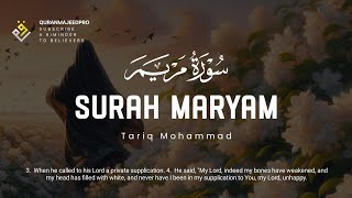 ♥️😍 Tariq Muhammad (طارق محمد) I Sura Maryam (سوره مريم) 😍♥️