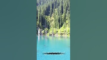 تلاوة رائعة #راحة_نفسية #المصحف #اكسبلور #الرحمن #تيك_توك