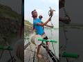 Using a Whole Chicken as Bait for Giant River Monsters! 😱 #danialfishing #animalhabitats