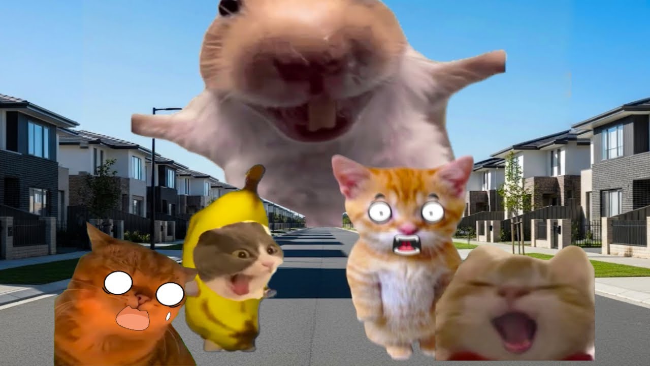 Banana Cat Ultimate Compilation 🍌🐱 50 Minutes Special