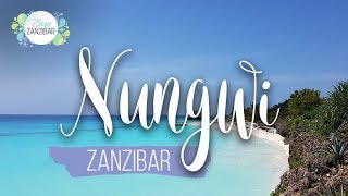 Nungwi Beach Zanzibar | Video HD