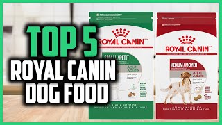 ✅ Top 5 Best Royal Canin Dog Food Reviews 2024