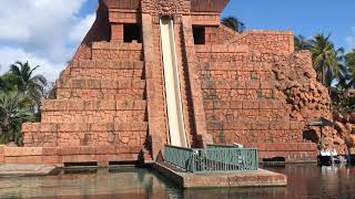 IMG 7480