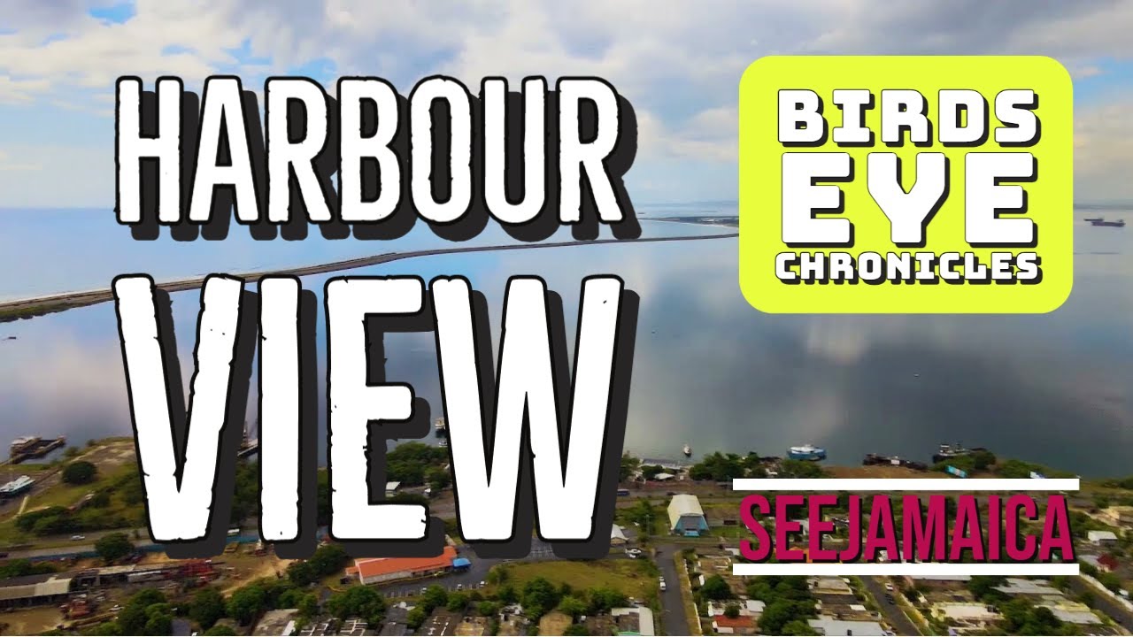 AweInspiring Perspectives Exploring the Beauty of Harbour View