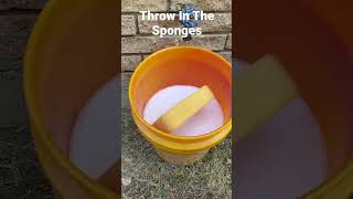 How to make sponges brand new again…how to keep them submerged for couple of hours