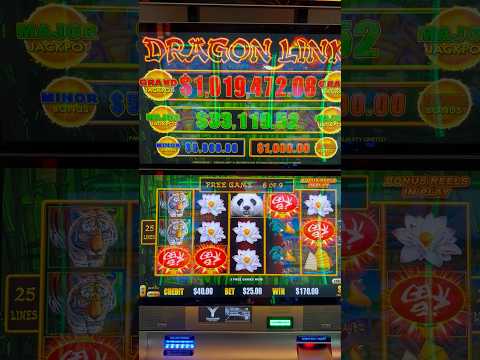 Erhalte den Dragonia Casino Bonus & spiele online in der Schweiz