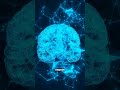 Хотите узнать, как помочь своему мозгу стать гибким и молодым снова? #биохакинг #нейропластичность