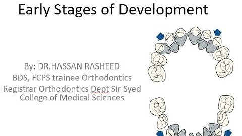 Early Stages of Development Lecture no 2/ part 2 | Dr.Hassan Rasheed