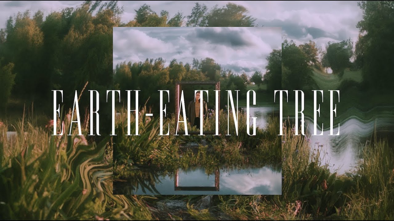 Abby Holliday - Earth-Eating Tree (Official Audio)