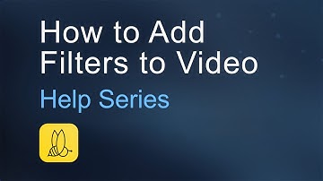How to Add Filters to Video with BeeCut