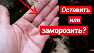 УЖАС😱ЗАБЫЛА ПРО УЛИТОК😨ЧТО Я НАШЛА В КОНТЕЙНЕРЕ