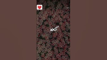 فرحين بما اتاهم اللع من فضله من سورة ال عمران اية 170
