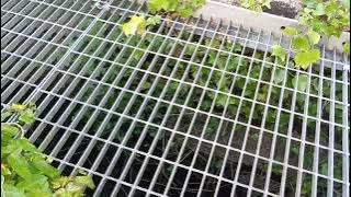 I found a deep mine shaft in pool