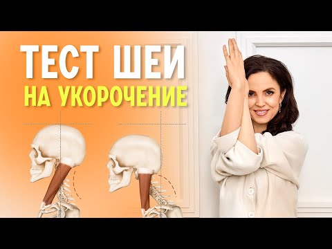 Как определить укорочение задней поверхности шеи