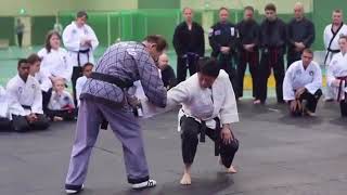 GM SUNG SOO LEE. KOREA HAPKIDO FEDERATION 9TH DAN