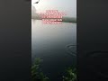 Thumbnail of sosok misteriua dibalik daun #duet #dj #djremix #remix #cover #mancing