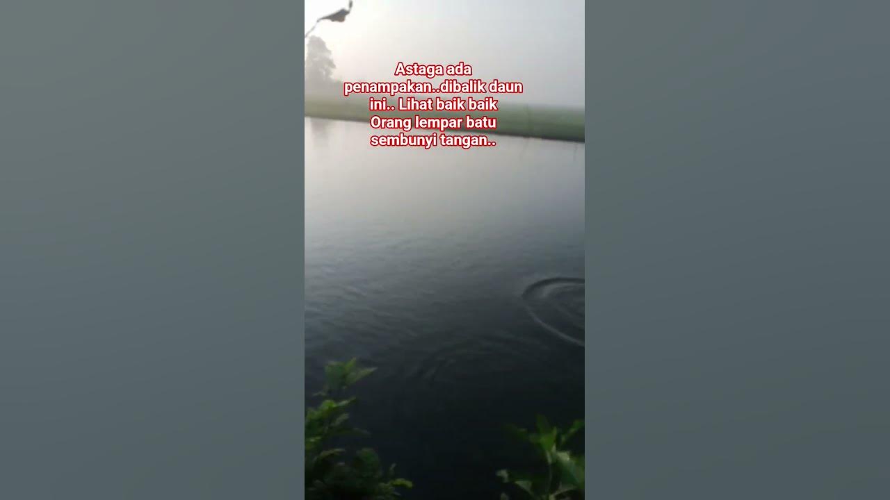 sosok misteriua dibalik daun #duet #dj #djremix #remix #cover #mancing