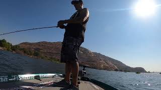 Ito Vision 110 Jerk Bait works good during this summer fall transition