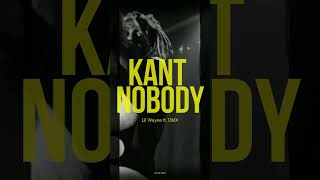 Kant Nobody - Lil Wayne ft. DMX