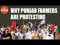 Why there is no let-up in Punjab farmers' protests against farm laws