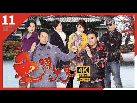 意壽司正式在香港開張｜#TVB Drama 魚躍在花見 The Rippling Blossom #4K 60FPS 11/20｜張智霖 謝天華 胡杏兒 楊怡｜國語中字 #HK