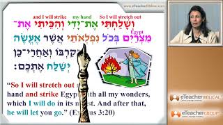 Learn Biblical Hebrew lesson 29 Weqatal Verbs | by eTeacherBiblical com