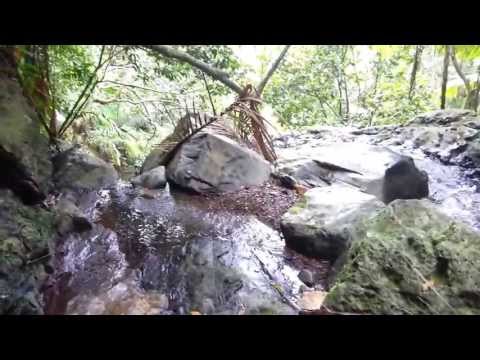 Juan Diego Falls in El Yunque rainforest, Puerto Rico - upper falls