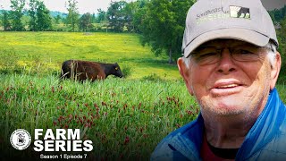 Grass Fed Grass Finished Beef | Smithview Farm | MMNP Farm Series Season 1 Episode 7