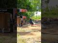 New Creative To You! Best Pigeon Trap By Using Cardboard Box | How To Catch Pigeon Easily😱#animaltr😱