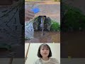 この水に春がある#music #love #song #coversong #singersongwriter #trump #duet #웃긴영상 #한국쇼츠 #유머 #짧은영상