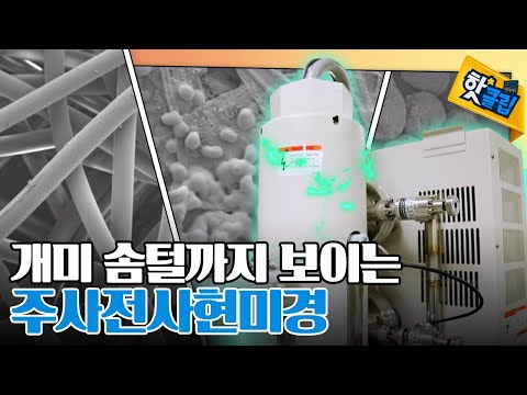 150만 배 확대 가능한 주사전사현미경의 원리 [#핫클립] / YTN 사이언스