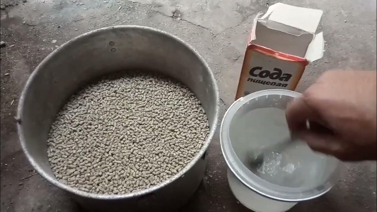 Сода для кур. Каустическая сода в картонной пачке. Сода для кур. Курица и сода. Сода для кур несушек.