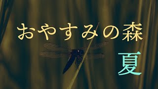 【おやすみの森】 夏　フル　【自然音　環境音　睡眠　睡眠導入】