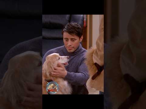 🐶 Счастливый друг #сериал #отношения #юмор #friends
