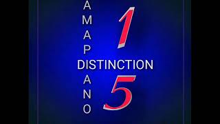 Amapiano Distinction Vol.15(mixed & Compiled by TEBZA SE7EN)