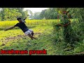 STATUE PRANK| NEW BUSHMAN PRANK PART 6