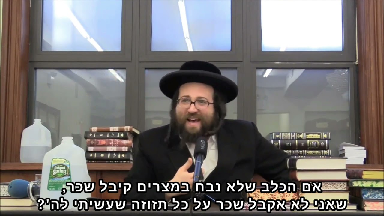 "אשרי ילוד אשה" – גם אתה יכול | הרב יואל ראטה שליט״א